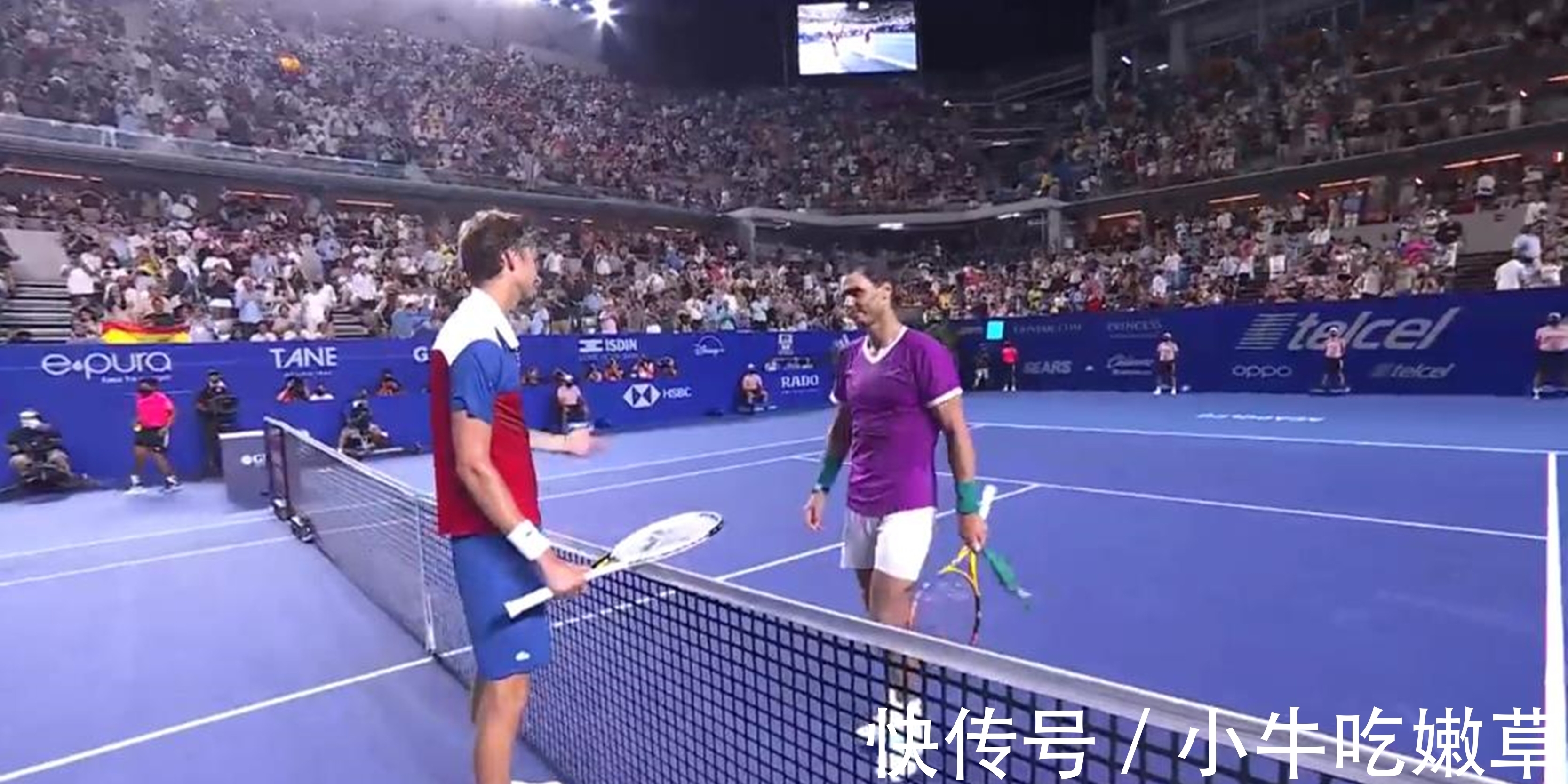 不仅士气大 不仅士气大